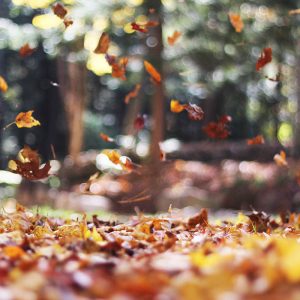 hypnotherapy-and-coaching